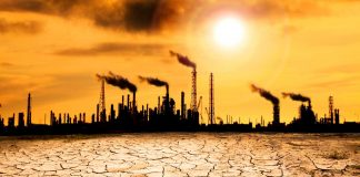 Tenemos una sola oportunidad, ¿cómo podemos combatir la crisis climática?