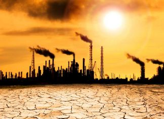 Tenemos una sola oportunidad, ¿cómo podemos combatir la crisis climática?