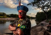 Brasil | 300 asesinatos a ecologistas impunes