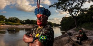 Brasil | 300 asesinatos a ecologistas impunes