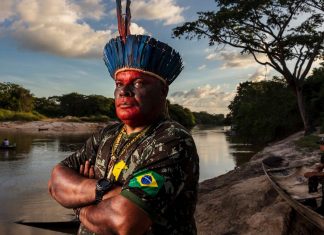 Brasil | 300 asesinatos a ecologistas impunes