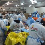 Negocios con Argentina: «Venezuela pagó los pollos más caros del mundo»