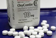 Purdue Pharma pagará el valor de su empresa en denuncias por crisis de opioides