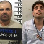 Ovidio Guzmán pacta con EE.UU.: el heredero del Chapo se declarará culpable y colaborará con la justicia