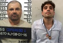 El pacto del Ratón: Ovidio Guzmán sacude a la élite mexicana