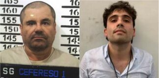 El pacto del Ratón: Ovidio Guzmán sacude a la élite mexicana