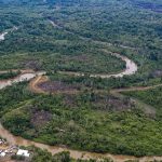 Narcotráfico acentúa deforestación en zona selvática de Panamá