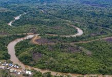 Narcotráfico acentúa deforestación en zona selvática de Panamá