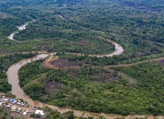 Narcotráfico acentúa deforestación en zona selvática de Panamá