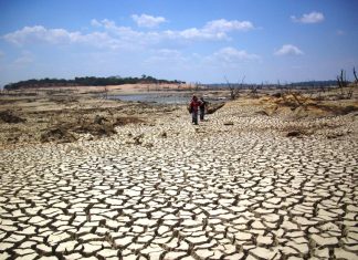 Sociedad civil venezolana declara al país en emergencia climática