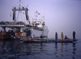 UE saca «tarjeta amarilla» a Ecuador por pesca ilegal