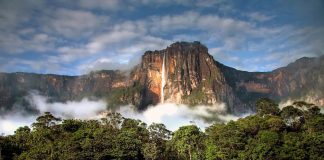 La minería ilegal pone en peligro al Parque Nacional Canaima