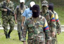 En el Cauca narcotraficantes se disputan el control del territorio