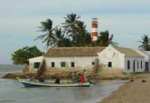 Régimen chavista reconstruye pista de aterrizaje en zona de narcotráfico