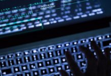 Declaran culpable a narcotraficante de la Dark Web que lavó $19 millones en Bitcoin