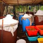 Desmantelan el mayor laboratorio de drogas sintéticas de Rusia