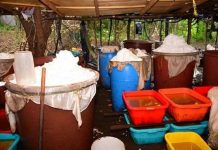 Desmantelan el mayor laboratorio de drogas sintéticas de Rusia