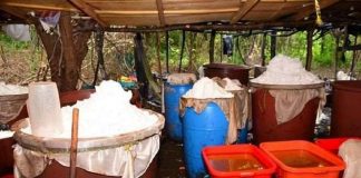 Desmantelan el mayor laboratorio de drogas sintéticas de Rusia