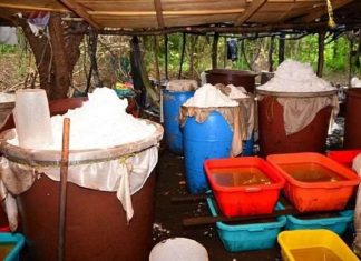 Desmantelan el mayor laboratorio de drogas sintéticas de Rusia