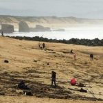 Francia|Hallan paquetes de cocaína arrastrados por el mar