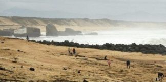 Francia|Hallan paquetes de cocaína arrastrados por el mar
