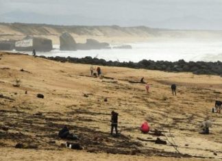 Francia|Hallan paquetes de cocaína arrastrados por el mar