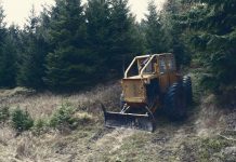 Noruega donará $16 millones para combatir la deforestación ilegal