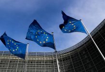 Seis países de la UE se unen para combatir el lavado de dinero