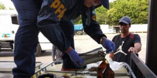 Argentina| Acusan a banda de lavar dinero de narcos a través de estafas con gasoil