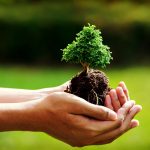 Colombia, Alemania, Noruega y UK se unen para reducir la deforestación en Colombia