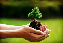 Colombia, Alemania, Noruega y UK se unen para reducir la deforestación en Colombia