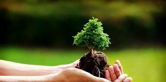 Colombia, Alemania, Noruega y UK se unen para reducir la deforestación en Colombia