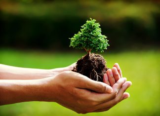 Colombia, Alemania, Noruega y UK se unen para reducir la deforestación en Colombia