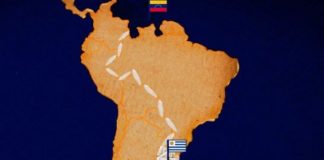 Armando Info: Los arroceros uruguayos nunca se fueron del festín revolucionario