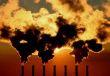 La crisis del cambio climático y del Covid-19 aumentó el lavado de dinero por delitos ambientales y venta de insumos médicos