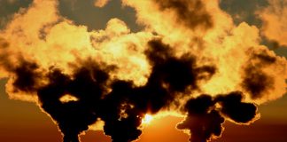 La crisis del cambio climático y del Covid-19 aumentó el lavado de dinero por delitos ambientales y venta de insumos médicos