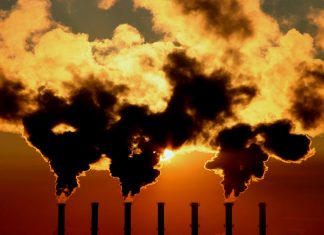 La crisis del cambio climático y del Covid-19 aumentó el lavado de dinero por delitos ambientales y venta de insumos médicos