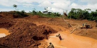 Guaidó crea comisión presidencial para investigar devastación y crímenes en el Arco Minero