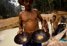De Grazia: La barbarie de la minería ha ido creciendo y afecta al 50% de la geografía venezolana