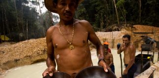 De Grazia: La barbarie de la minería ha ido creciendo y afecta al 50% de la geografía venezolana