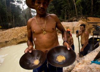 De Grazia: La barbarie de la minería ha ido creciendo y afecta al 50% de la geografía venezolana