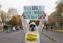Compañía de Bayer se declara culpable por usar pesticidas prohibidos