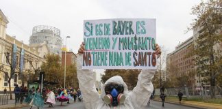 Compañía de Bayer se declara culpable por usar pesticidas prohibidos