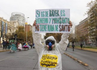 Compañía de Bayer se declara culpable por usar pesticidas prohibidos