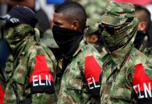 Fundaredes denuncia el uso de la guerrilla para influir en resultados electorales a favor del PSUV