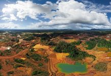 El ecocidio de Maduro en Venezuela