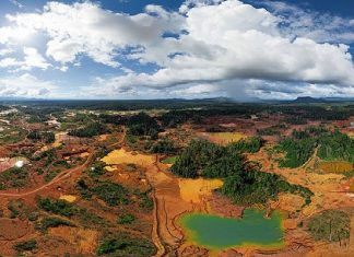 El ecocidio de Maduro en Venezuela