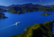 Congelados USD17 millones de ex director de Pdvsa en Nueva Zelanda