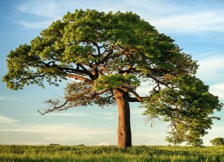 Justicia de España reclama la creación de un derecho penal internacional del medio ambiente