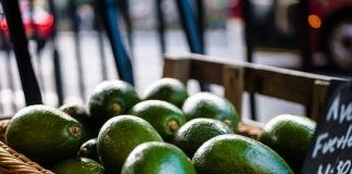 EEUU suspende importaciones de aguacate de México tras amenaza a inspector estadounidense